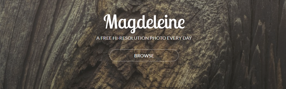 Magdeleine.co polecenie strony